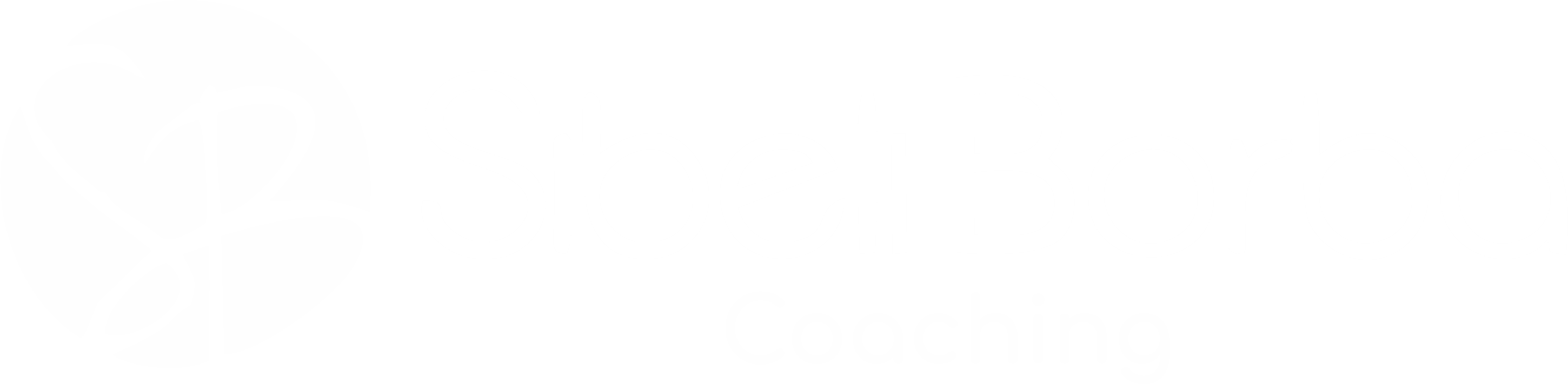 Sibeli Borba Coaching